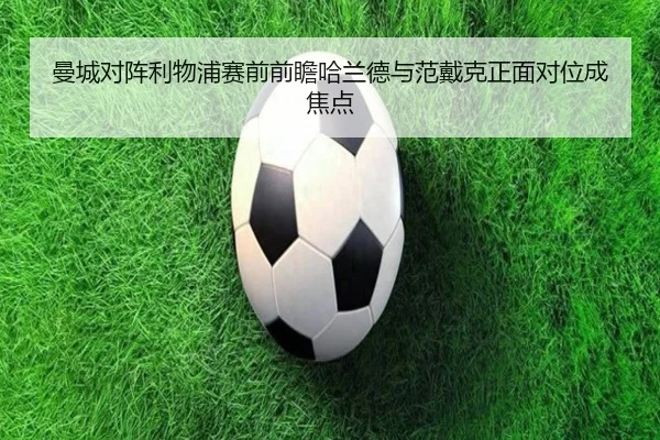 img_1782410937753_1364_1_278.jpg
